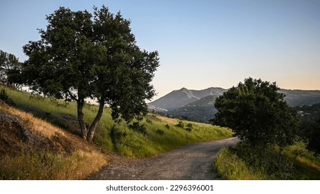 A dirt path between trees with Mount Tamalpais and blue sky in the distance in Marin County, California.