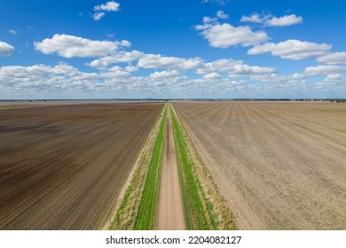 Dirt Path Between Two Dry Crops.