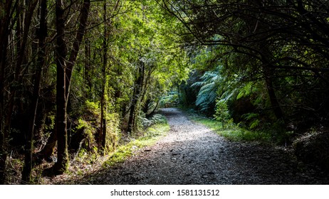 Dirt Path With A Bight Light Opening 