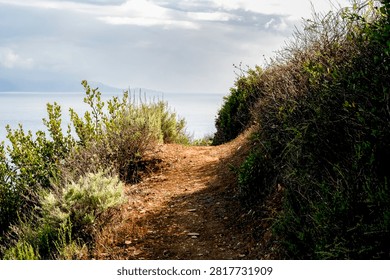 A dirt path leads through dense coastal scrubland towards the vast blue ocean under a cloudy sky