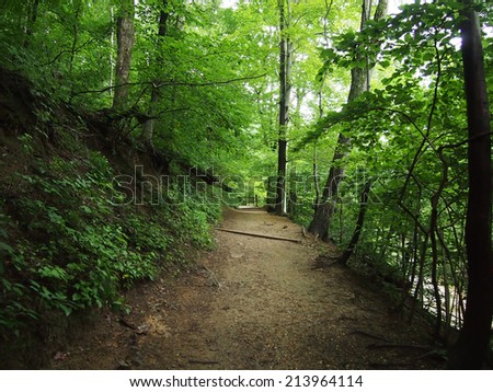 Dirt Path leads upwards in Forest in Rock Creek Park, Washington DC.