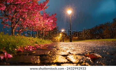Dirt path. Pink cherry bushes. Pink leaves on the ground. street lamp retro look with the colorful tree.