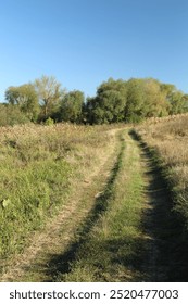 A dirt path through a field
