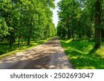 A dirt path through a park with lush green trees during the daytime in summertime.