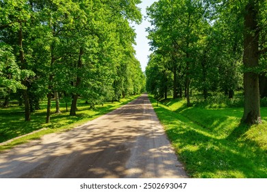 A dirt path through a park with lush green trees during the daytime in summertime. - Powered by Shutterstock