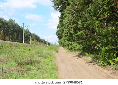 Dirt Path Winding Through Pine Forest Alongside a Railway Line copy space