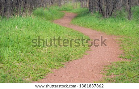 A dirt path winds through grass and greenery making its way through the woods in a series of curves.