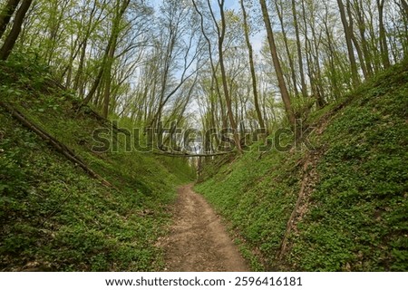 A dirt path winds through a lush, green ravine. The steep slopes are covered in vegetation.