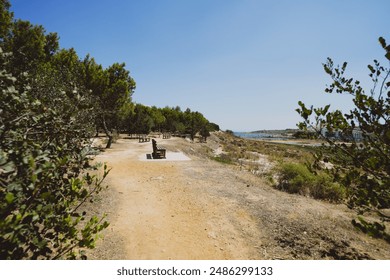 A dirt path winds through a small coastal forest, leading to an overlook of the ocean. There are several benches along the path, all of which are empty. The forest is full of small trees and bushes.