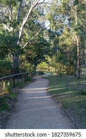 Dirt Pathway Between Trees In Parramatta Park.