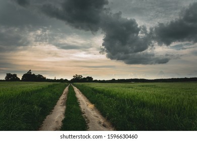 Dirt Road Ahead, Green Grain And Dark Cloud On The Sky