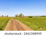 Dirt road in a beautiful rural landscape at springtime