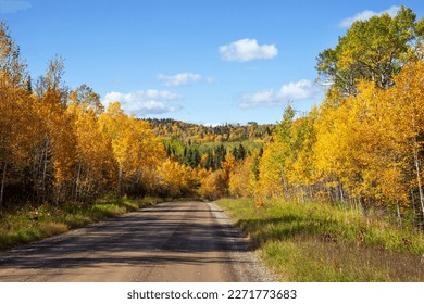Dirt road below hills and trees in fallcolor in northern Minnesota on a sunny afternoon