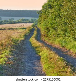 A dirt road beside a field in the Danish countryside in summer. Rocky gravel path through rustic grass or farm land in spring against a yellow orange sky. Peaceful nature scene of cultivated wheat