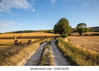 A dirt road between farmland with hay bales in the fields surrounding