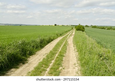 dirt road between fields