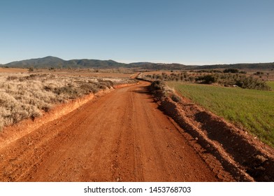 Dirt road between grass fields