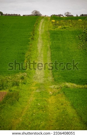 Similar – Image, Stock Photo finally free Meadow Calm