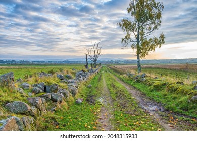 Dirt road by stone walls at a moor in autumn