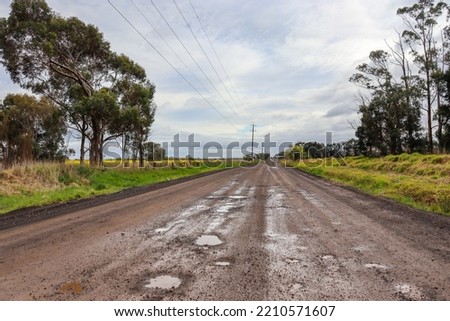 dirt road in the country after rain