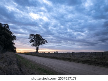 Dirt road in the countryside during sunset on a cloudy day. Desolate landscape. - Powered by Shutterstock