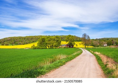Dirt road to a farm in the countryside