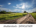 A dirt road in a field with a cloudy sky. The sky is blue and the sun is shining