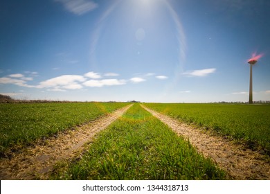 Dirt Road In The Field Leading To The Wind Turbines.