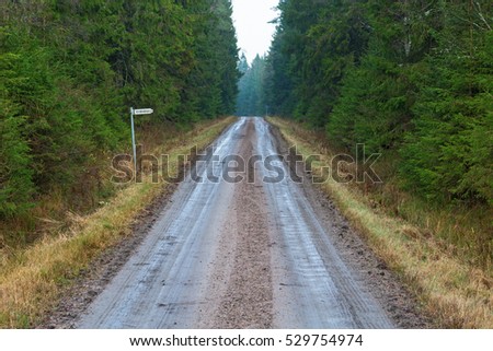 Dirt road in the forest