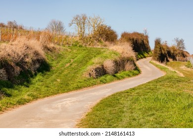 A Dirt Road With Grass And Bushes Leads Up A Hill, Germany