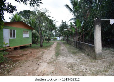 Dirt Road With Green House, And Mossy Wall In Grange Hill, Jamaica