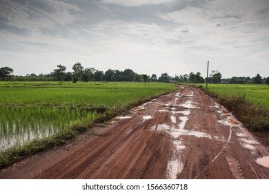 Dirt Road In Isan Thailand