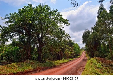 Dirt Road In The Jungle Of Uganda, Africa