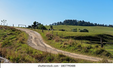 A Dirt Road Leading Beside The Fenced Paddocks Of An Australian Dairy Farm In Eungella National Park