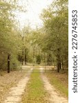 Dirt road leading to closed gate with green trees in background in DeFuniak Springs, Florida 