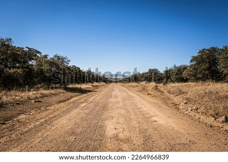 A dirt road leading off into the distance to mountains on the horizon under a clear blue sky.