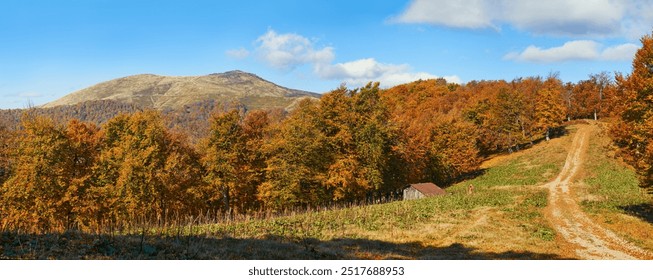 A dirt road leads into a vibrant autumn forest beneath a bright blue sky, with a grassy mountain rising in the background. A small rustic cabin rests at the forest edge, adding to the tranquil scene. - Powered by Shutterstock