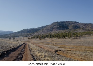 A dirt road in the middle of the field goes into the distance, to the mountains and forest. - Shutterstock ID 2205158053