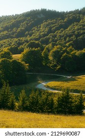 Dirt Road In Nature Of Greater Fatra, Slovakia