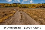 Dirt road near Monitor Pass in California, USA, in the autumn, leading to a patch of yellow aspen trees and pine trees in the distance