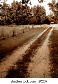 dry road to nowhere