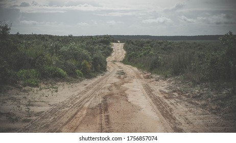 Dirt Road In The Ocala National Forest