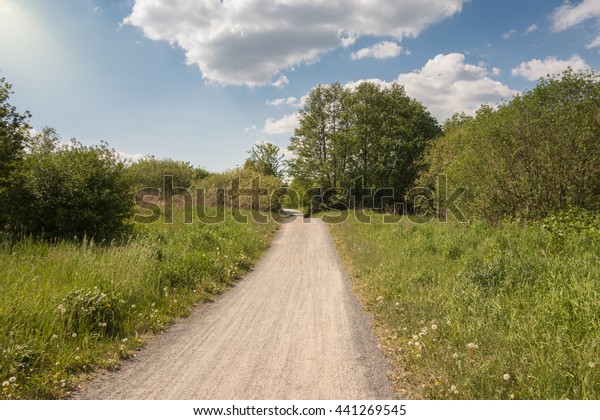 Dirt Road On Farm Leading Away Stock Photo (Edit Now) 441269545