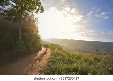 A dirt road on a mountain amidst trees on both sides during a clear daytime. - Powered by Shutterstock