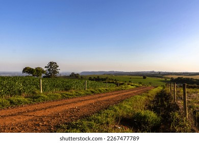 dirt road on rural properties alongside and plantations
 - Powered by Shutterstock