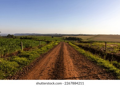 dirt road on rural properties alongside and plantations
 - Shutterstock ID 2267884211