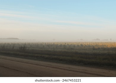 Dirt road and an open field on a foggy morning - Powered by Shutterstock