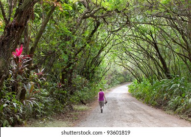 Dirt Road - Osa Peninsula, Costa Rica