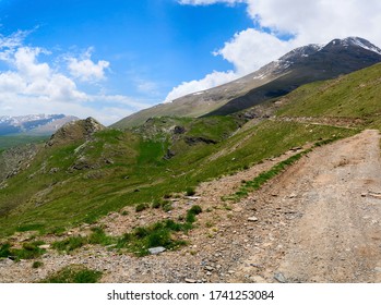 The dirt road passes through green Alpine meadows in the highlands.  Mountain Biking on the national cycle route in the Pyrenees.