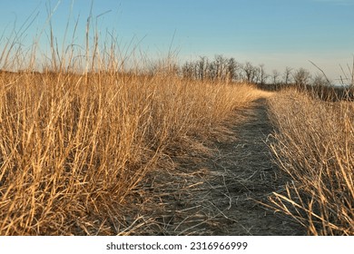 Dirt road path in the countryside field in dry late autumn